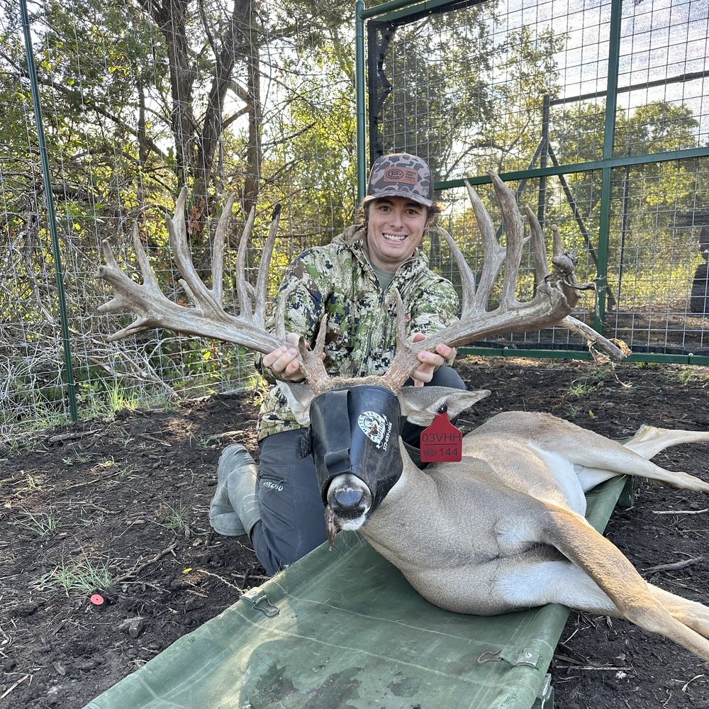 Hard-antlered two-year-old stocker buck at Crown Point Whitetails
