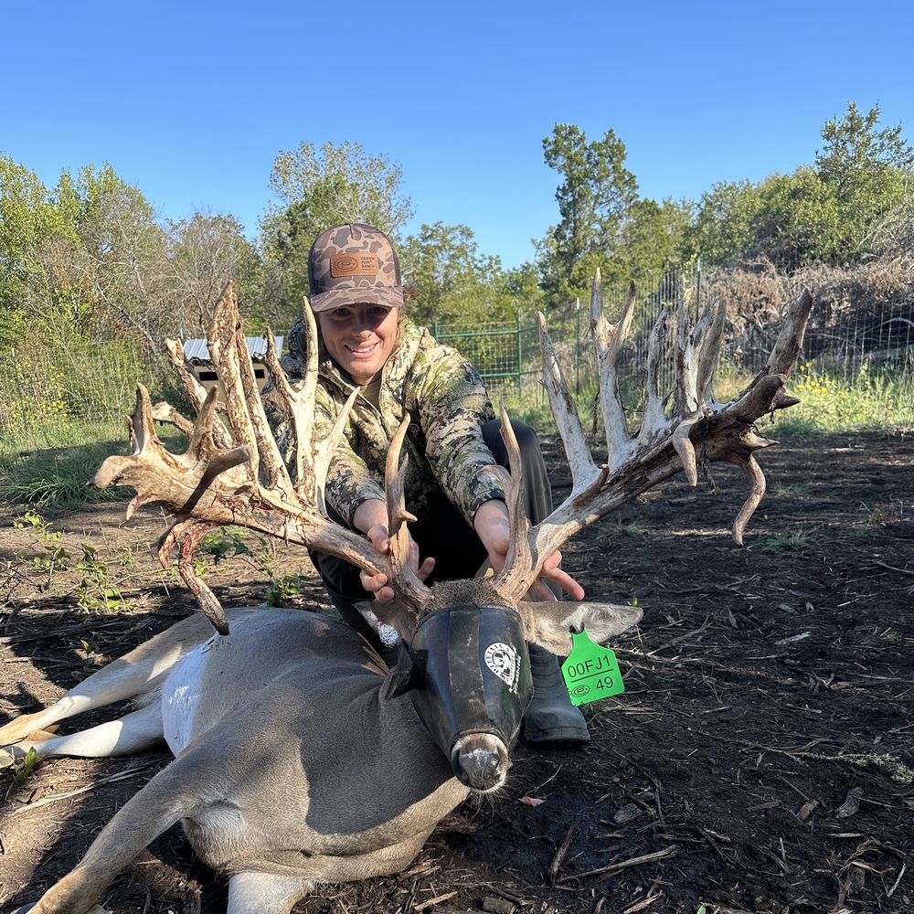 Heavy-framed two-year-old stocker buck available from Crown Point Whitetails