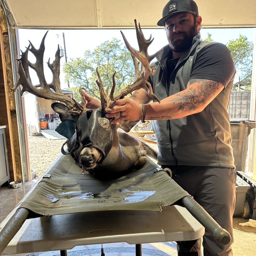 High-scoring yearling buck produced at Crown Point Whitetails