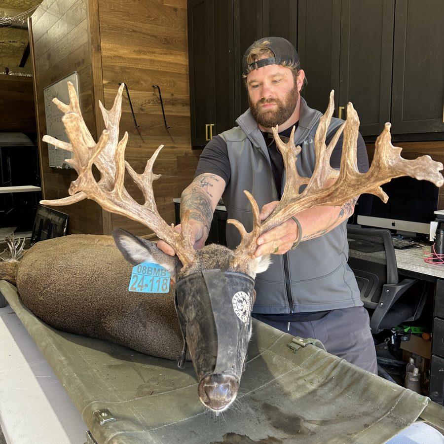 Heavy-framed yearling buck from Crown Point Whitetails genetics